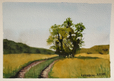 Le chemin